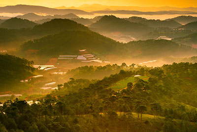 A bus or taxi up to Dalat is a great option when you want to escape the hot plains and coastal region